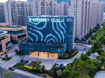 Veegle By Landison Sunshine