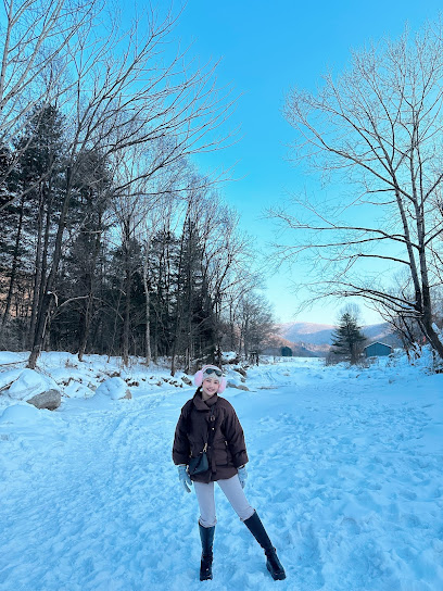 Fall in love with snow Inn