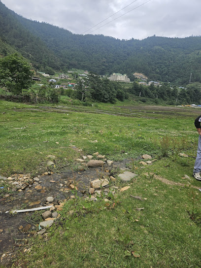 BAPU RESORT