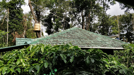 Homestead Homestay, Nagarahole, Coorg, Kodagu.