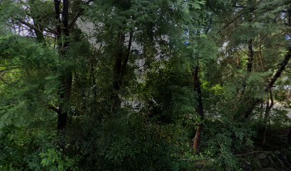 玉荷塘民宿