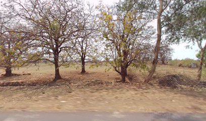 Amit Yadav Hotel
