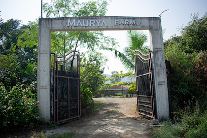 Maurya Farms