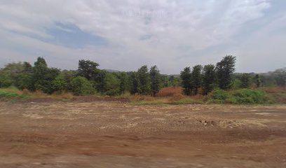 My Nest Agro Farm Resort