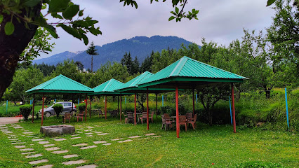 Aransh Resorts - Celebriti Hotel In Old Manali