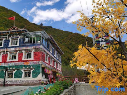 Cailin Holiday Manor