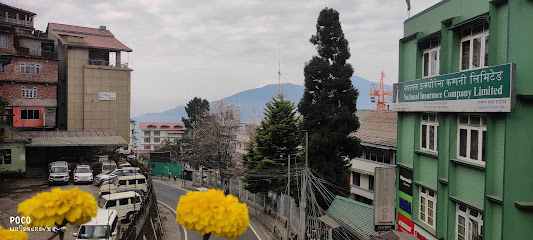 Hotel Mist Tree Mountain