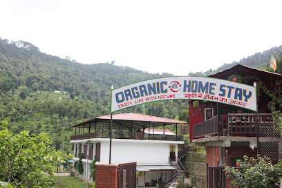 Organic farm Stay