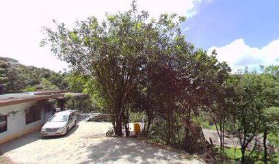 Winderdale home stay 2