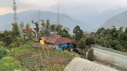 Greenvalley Homestay
