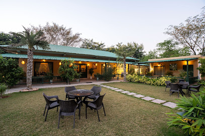 Tiger Woods Ranthambhore