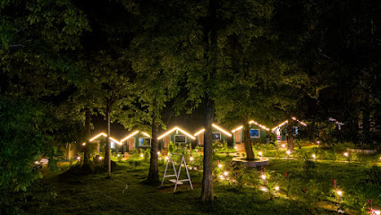 Dandeli Forest Inn Resort