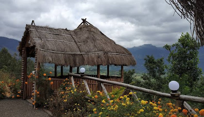 Jungle Book Vintage Resort Kanthalloor