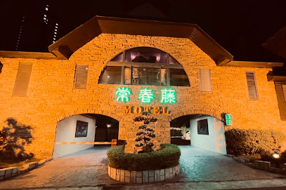 常春藤汽车旅馆