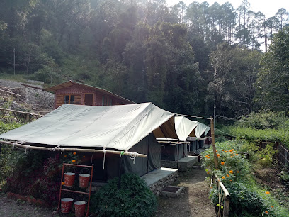 Camp Walnut Nainital