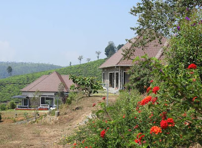 Green Veil Cottages