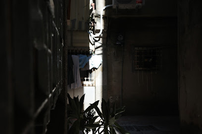 maru 圆