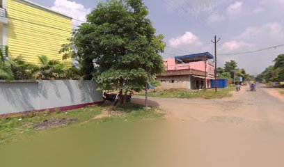 Hotel Raj international