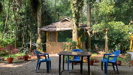 Jungle View homestay
