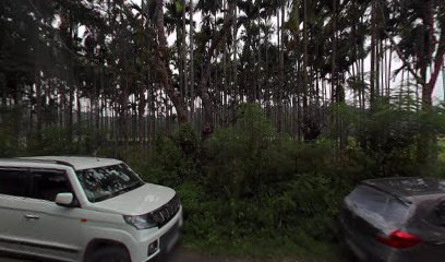 Cozy Stay Hill Top