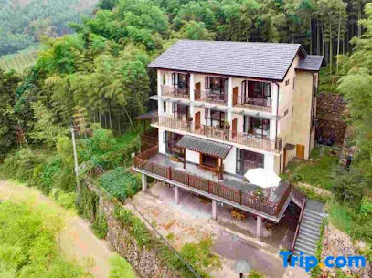 KiWi Mountain Villa