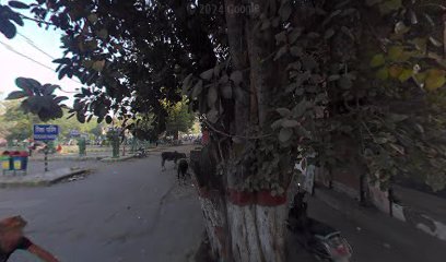 Hotel Girdhar Palace Sonipat