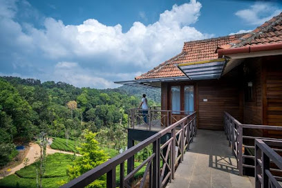 Wild Planet Resort