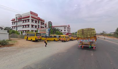 Flagship Royal Celebrino