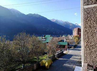 Shami Inn Manali