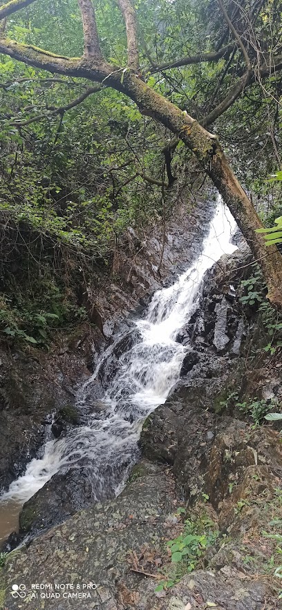 陆川温泉九龙山庄