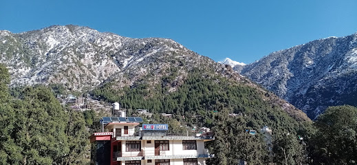 Hotel Green View