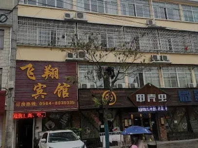 Shucheng Feixiang Hotel