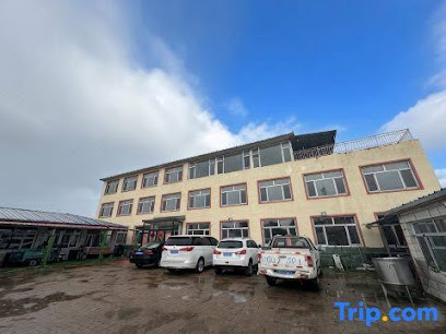 Fengning xinglong manor
