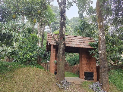 TREE HOUSE WAYANAD (Changaathi Green villa)