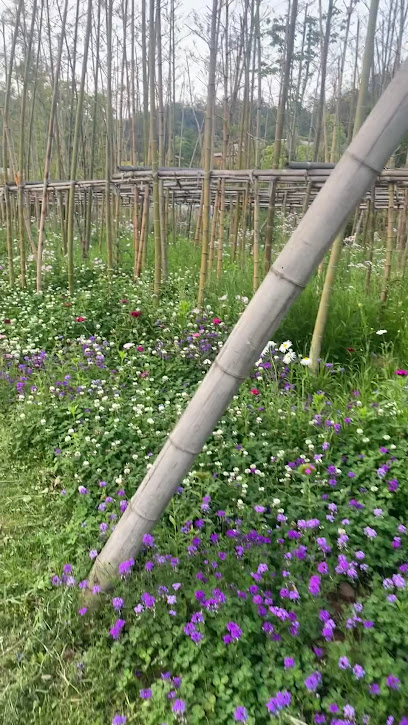 Kaiyuan Senbo ·Yin Zhu Li Hotel