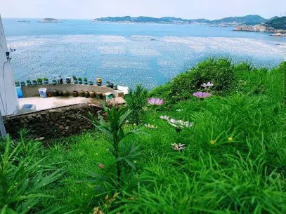 Shengsi wolfberry Shengshan Island Youth Hostel