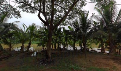 Sri Konaseema Hotels Pvt Ltd