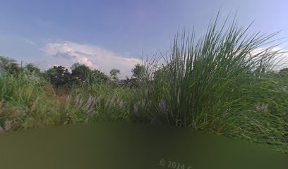 Vidhyawaati Marriage Lown , Yakubpur