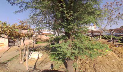 Village Amarpur bhopal