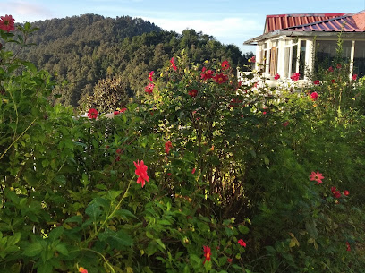 The Perch ( Mukteshwar)
