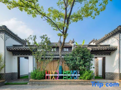 Lily's House