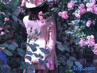 Huangshan Shiqishanyuan Homestay