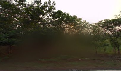 Shambhu line hotel gopikander