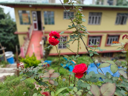 HOTEL HILL VIEW UPPER PELLING