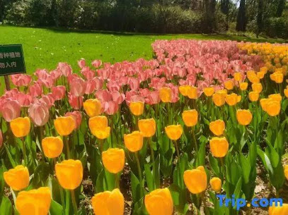 Starway Hotel Xi An Gaoxin Provincial Sports Train