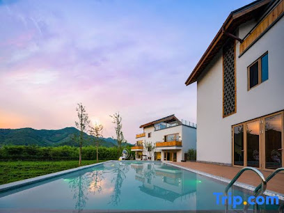 Qiyun Anji Tea Mountain Landscape Resort Hotel