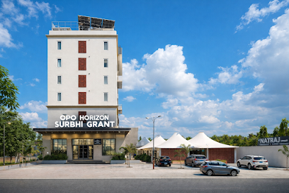 OPO Horizon Surbhi Grant