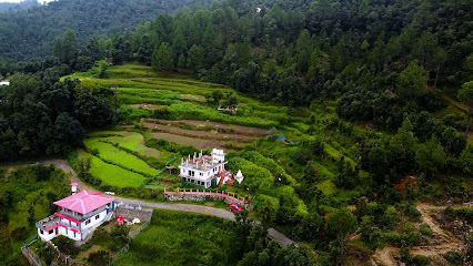 Tatva Vedea | Homestay | Hostel | Organic Food | Mukteshwar