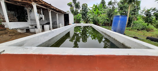 JAGLi KATTE