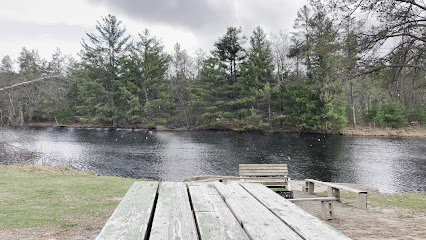 Tall Pines Resort
